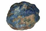 Vivid Blue, Cut/Polished Azurite Nodule - Siberia #175552-1